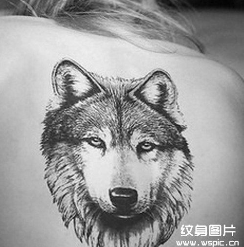 狼图腾纹身