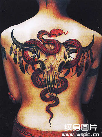 蛇满背纹身图案