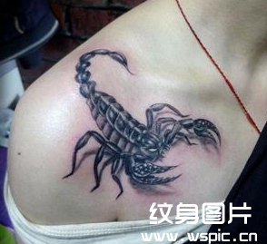 蝎子纹身图案有什么意义