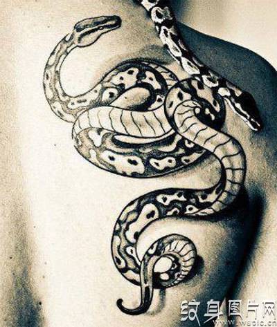蛇纹身图案10大最佳设计，让人震撼的灵感碰撞