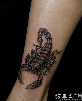 蝎子纹身图案欣赏，身体不同部位的蝎子纹身