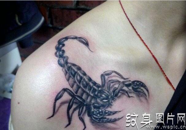 蝎子纹身图案欣赏，身体不同部位的蝎子纹身
