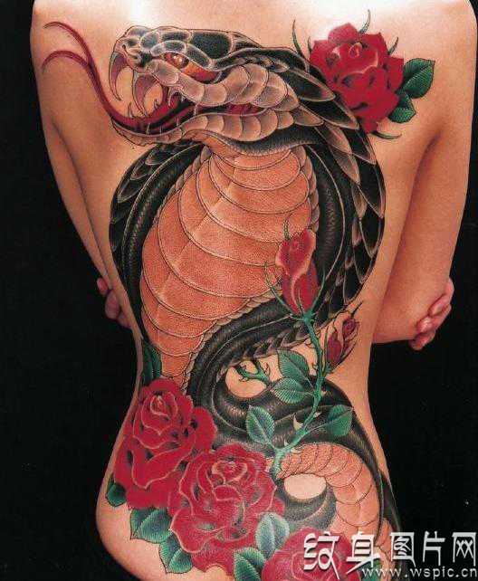 蛇纹身是权贵的象征，详解中国八大毒蛇