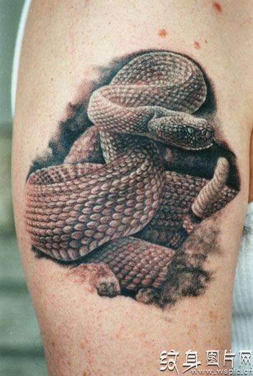 蛇纹身是权贵的象征，详解中国八大毒蛇