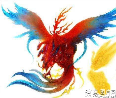 大鹏鸟纹身图案欣赏，来自远古的神话传说