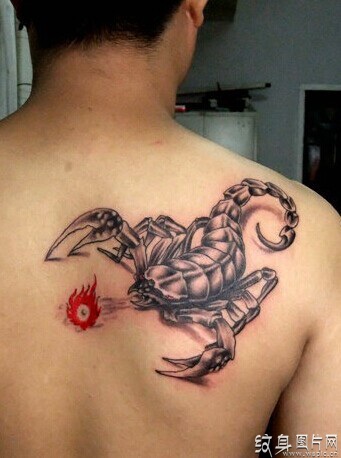 蝎子纹身图案大全，不同艺术风格的蝎子纹身