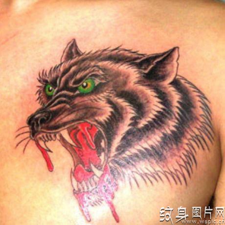狼纹身图案大全欣赏，八张面目凶狠的纹身图案