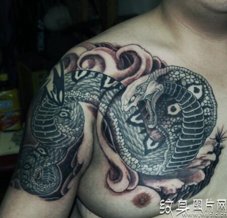 让人又爱又怕的蛇纹身图案欣赏，解析蛇纹身背后的含义