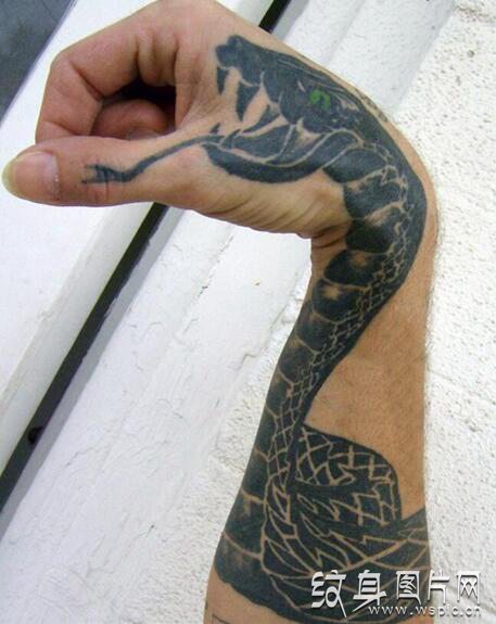 蛇纹身图案大全，盘点各式不同形状的蛇