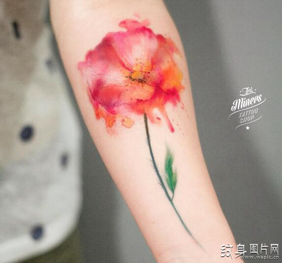 罂粟花纹身图案欣赏，死亡和美丽的双重象征