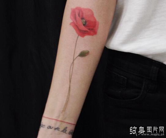 罂粟花纹身图案欣赏，死亡和美丽的双重象征
