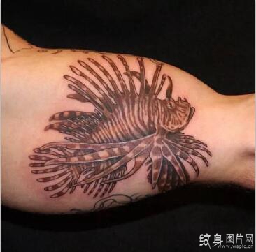 鱼纹身图案大全欣赏，遨游在海洋中的美丽鱼类