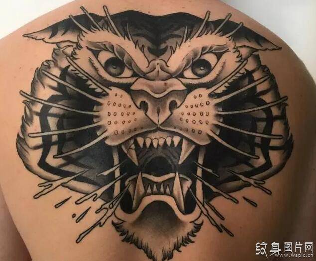 个性十足的老虎纹身图案，2018最佳纹身创作灵感