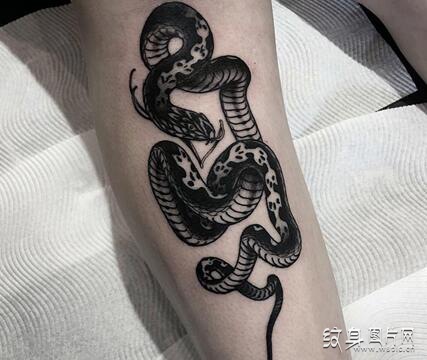 最具特色的蛇纹身图案，2018最佳设计典范