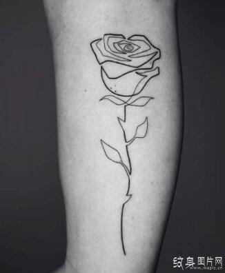玫瑰花纹身及其起源，合适的玫瑰图案选择很重要