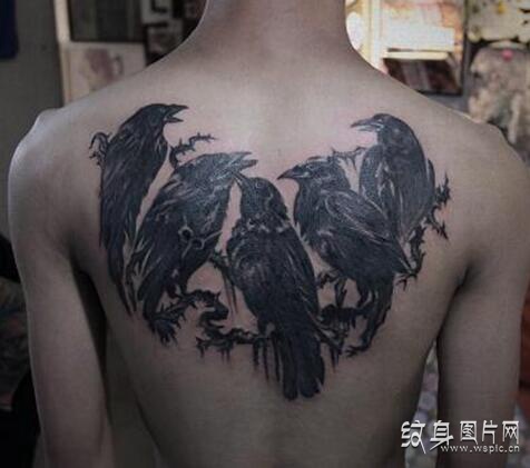 智慧超群的灵性神鸟，乌鸦纹身图案欣赏