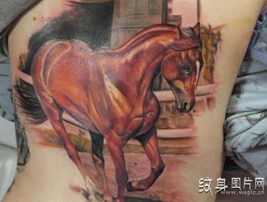 忠诚勇敢的生肖七哥，马纹身图案大全欣赏