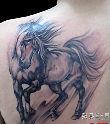 忠诚勇敢的生肖七哥，马纹身图案大全欣赏
