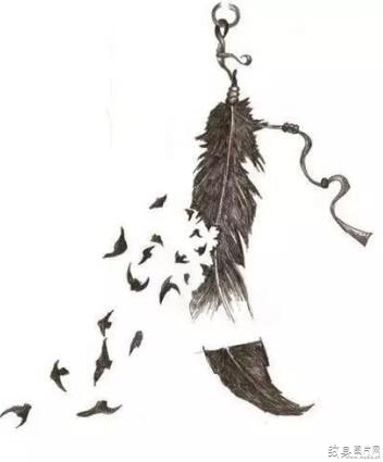 随风轻舞的自由象征，值得收藏的羽毛纹身手稿