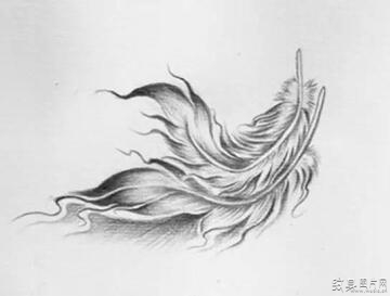 随风轻舞的自由象征，值得收藏的羽毛纹身手稿