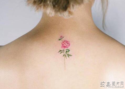 女性牡丹纹身图案，别具一格的花朵纹身设计