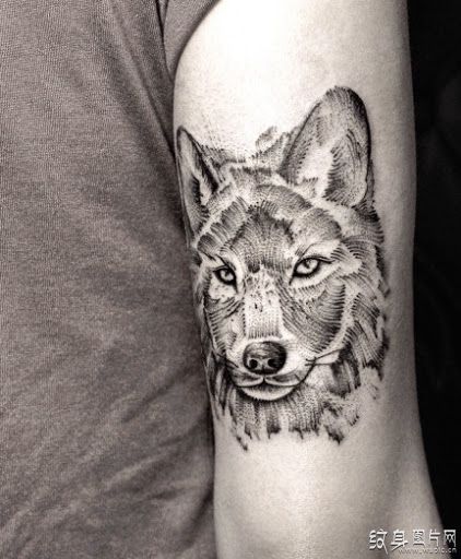 欧美狼头纹身图案，震撼人心的时尚设计