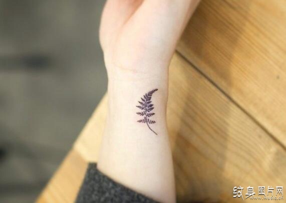 可爱小巧的叶子纹身图案，8个美丽的设计及意义