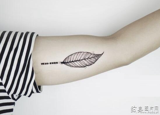 可爱小巧的叶子纹身图案，8个美丽的设计及意义