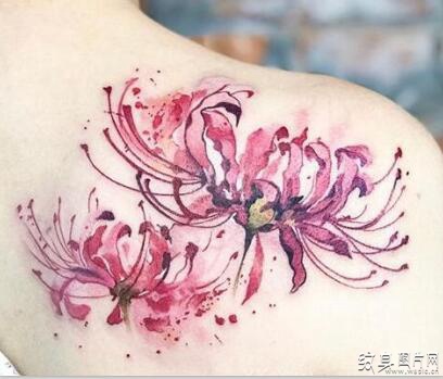 让人心碎的爱情之花，曼珠沙华纹身图案欣赏