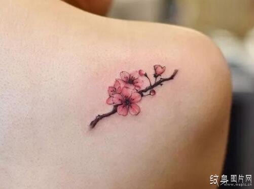 梅花纹身图案欣赏，最具代表的古典中国风纹身