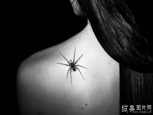 噩梦的产物，个性十足的非主流蜘蛛纹身图案
