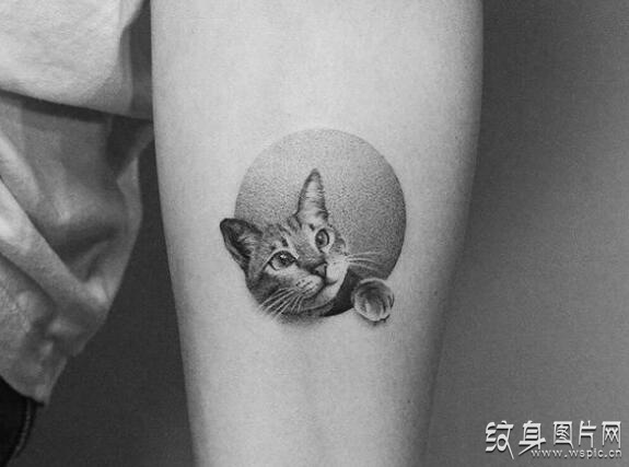 可爱猫咪纹身图案，悠久而又古老的纹身艺术