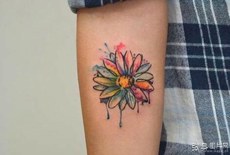 雏菊纹身图案欣赏，最美的女人之花