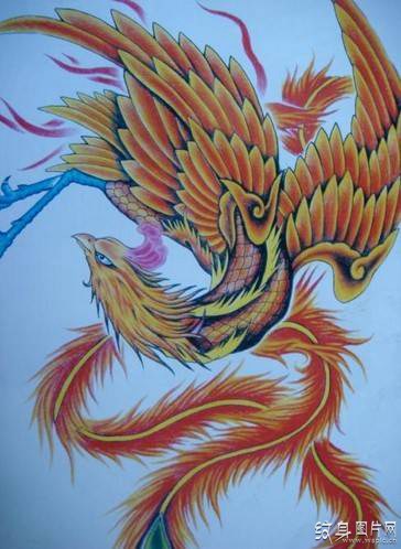 权利与复活之鸟，火凤凰纹身图案与手稿欣赏