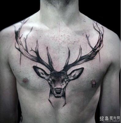 唯美鹿纹身图案欣赏，解析鹿纹身的禁忌和含义