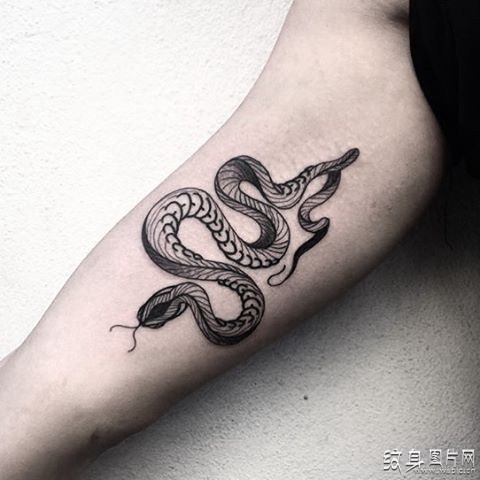 可爱小蛇纹身图案，有趣的设计与恰到好处的布局