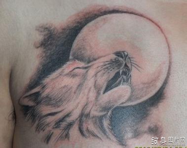 天狼啸月纹身图案欣赏，霸气的背景后有凄美的故事