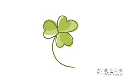 经典三叶草纹身及手稿，它竟然是爱尔兰的国花