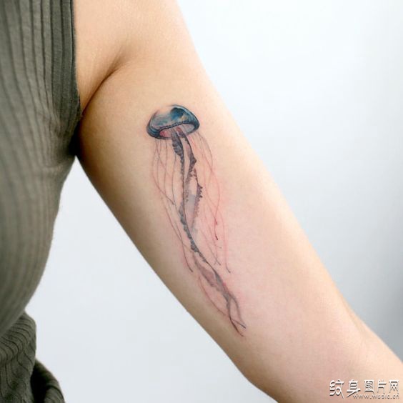 水母纹身图案及手稿，来自大海深处的神奇寓意