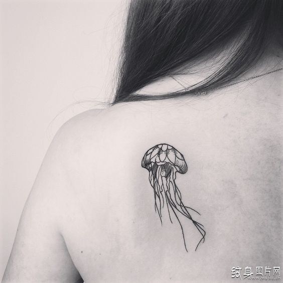 水母纹身图案及手稿，来自大海深处的神奇寓意