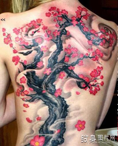梅花树纹身图案及手稿欣赏，其深刻的含义解析