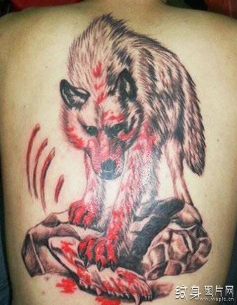 凶猛的狼头纹身设计，血狼纹身图案及手稿欣赏