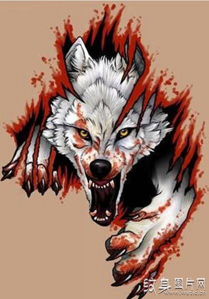 凶猛的狼头纹身设计，血狼纹身图案及手稿欣赏
