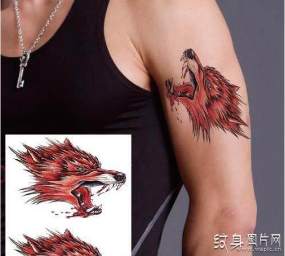 凶猛霸气的狼头纹身设计，血狼纹身图案及手稿欣赏