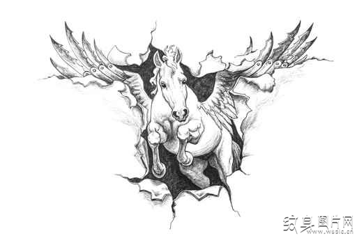 飞马纹身图案及手稿 诞生于美杜莎血液中的奇幻生物