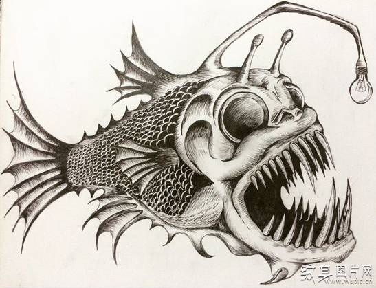 食人鱼纹身图案及手稿 来自南美大陆的神奇之鱼