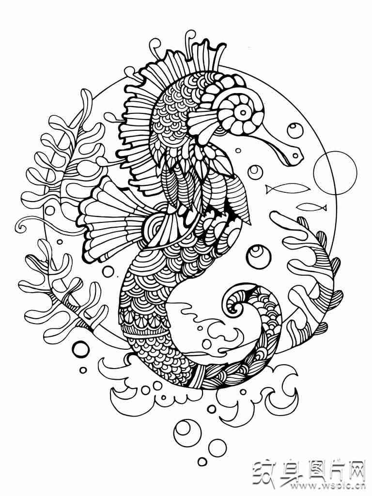 来自海洋的小精灵 海马纹身图案及手稿欣赏