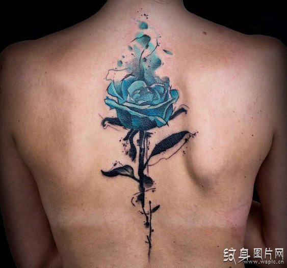 蓝玫瑰纹身图案及手稿 稀世珍爱的花语见证