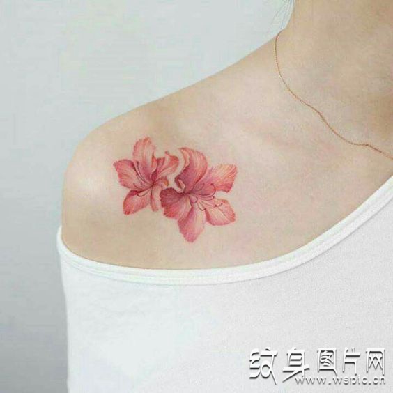 最迷人的鲜花设计之一 芙蓉花纹身图案欣赏