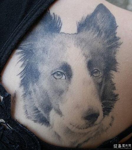 牧羊犬纹身图案欣赏 聪明温顺的人类伙伴